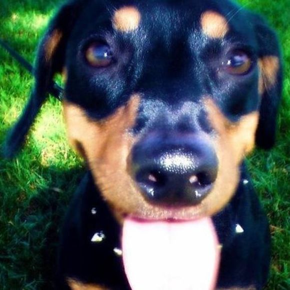 Meet your Posher, M.a. - Picture 1 of 1